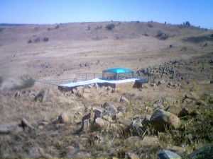 FARM Aviary