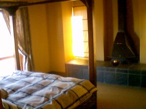 FARM Cottage Broom